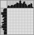 Japanese crossword «Security guard» Japanese crossword «Security guard»