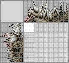 Japanese crossword «Opossum» Japanese crossword «Opossum»