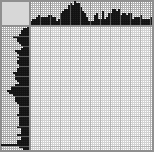 Japanese crossword &laquo;An insult&raquo;