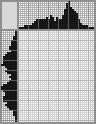 Japanese crossword &laquo;The reflection in the mirror&raquo;