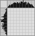 Japanese crossword «Palm trees» Japanese crossword «Palm trees»