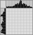 Japanese crossword «Pirate» Japanese crossword «Pirate»