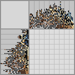 Japanese crossword &laquo;Ocellated Quail&raquo;