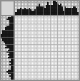 Japanese crossword «Carpenter» Japanese crossword «Carpenter»