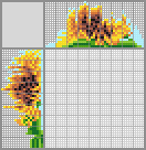 Japanese crossword &laquo;Sunflower&raquo;