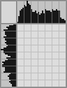 Japanese crossword «Sunflower» Japanese crossword «Sunflower»