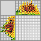 Japanese crossword «Sunflower» Japanese crossword «Sunflower»