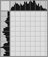 Japanese crossword «Police officer» Japanese crossword «Police officer»