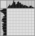 Japanese crossword &laquo;Pony in a crown&raquo;