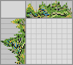 Japanese crossword «Phyllomedusa Bahiana» Japanese crossword «Phyllomedusa Bahiana»