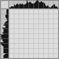 Japanese crossword «Princess Jasmine» Japanese crossword «Princess Jasmine»