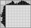 Japanese crossword «Bird» Japanese crossword «Bird»