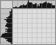 Japanese crossword «Birds» Japanese crossword «Birds»