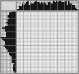 Japanese crossword &laquo;Cougar&raquo;
