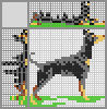 Japanese crossword &laquo;Dog&raquo;