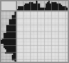 Japanese crossword «Shell» Japanese crossword «Shell»