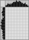 Random crossword