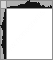 Japanese crossword &laquo;Rembrandt&raquo;