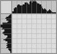 Japanese crossword «Fish» Japanese crossword «Fish»