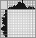 Japanese crossword «Knight» Japanese crossword «Knight»