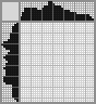 Japanese crossword «Robot EVE» Japanese crossword «Robot EVE»