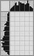 Japanese crossword «Biker» Japanese crossword «Biker»