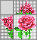 Japanese crossword &laquo;Rose&raquo;