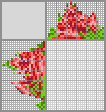 Japanese crossword &laquo;Rose&raquo;