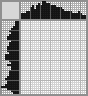 Japanese crossword «Salamander» Japanese crossword «Salamander»