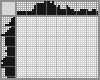 Japanese crossword &laquo;Northern Elephant Seal&raquo;