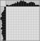 Japanese crossword «Detective» Japanese crossword «Detective»