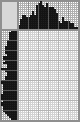 Japanese crossword «Skeleton» Japanese crossword «Skeleton»