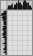 Japanese crossword «Buffoon» Japanese crossword «Buffoon»