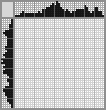Japanese crossword «Skunk» Japanese crossword «Skunk»