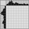 Japanese crossword «Skunk» Japanese crossword «Skunk»