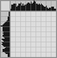 Japanese crossword «Snow Maiden» Japanese crossword «Snow Maiden»