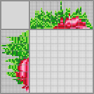 Japanese crossword «Beet» Japanese crossword «Beet»