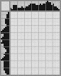 Japanese crossword «Terminator» Japanese crossword «Terminator»