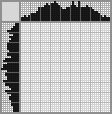 Japanese crossword «Tiger» Japanese crossword «Tiger»