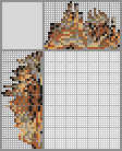 Japanese crossword &laquo;Norfolk Kaka&raquo;