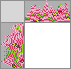 Japanese crossword «Tulips» Japanese crossword «Tulips»