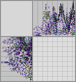 Japanese crossword «Wisteria branches» Japanese crossword «Wisteria branches»