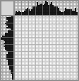 Japanese crossword «Grapes» Japanese crossword «Grapes»