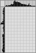 Japanese crossword &laquo;Vladimir Putin&raquo;