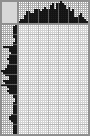 Japanese crossword &laquo;Thief&raquo;