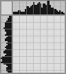 Japanese crossword «Zebra» Japanese crossword «Zebra»