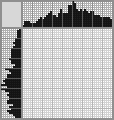 Japanese crossword «Zebras» Japanese crossword «Zebras»