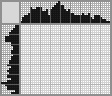 Japanese crossword «Frog» Japanese crossword «Frog»