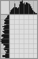 Japanese crossword «Grey Parrot» Japanese crossword «Grey Parrot»