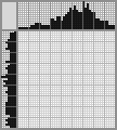 Japanese crossword &laquo;Eastern Yellow-billed Hornbill&raquo;